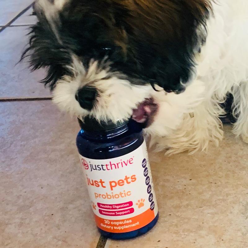 Just Pets Probiotic - Image 5
