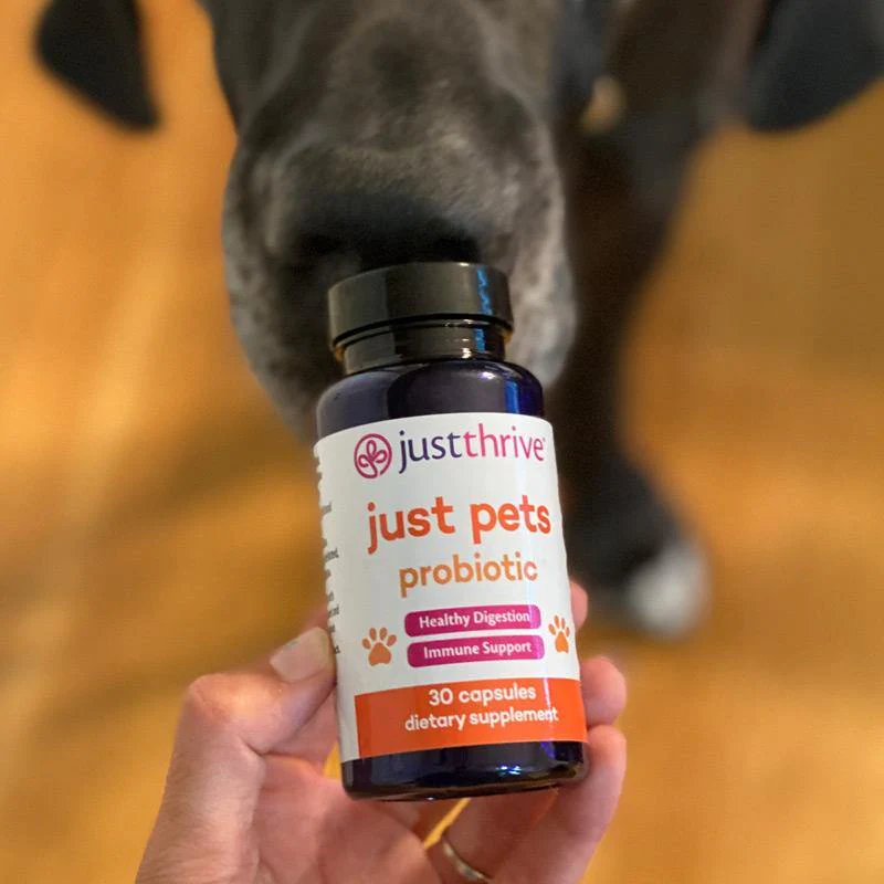 Just Pets Probiotic - Image 6